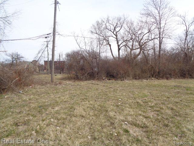 612 CONCORD Street, Detroit, MI 48207 — Photo 3