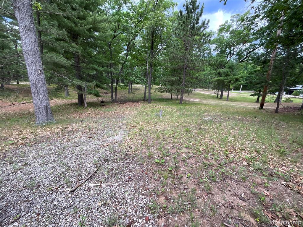 2192 Lake Road S, National City, MI 48748 — Photo 14