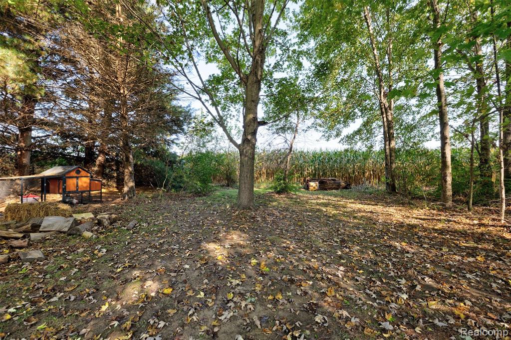6392 Mitchell Road, Palmyra, MI 49268 — Photo 40