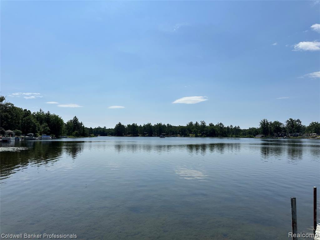 7351 Chain Lake Drive, South Branch, MI, 48761