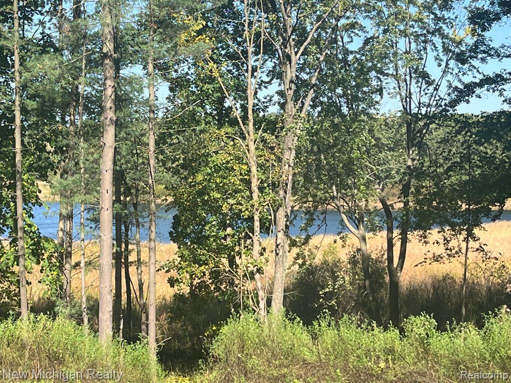 11461 WHITE LAKE Road, Fenton, MI, 48430