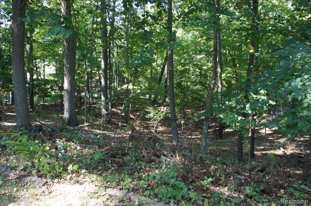 4619 Curtis Lane, Clarkston, MI — Photo 33