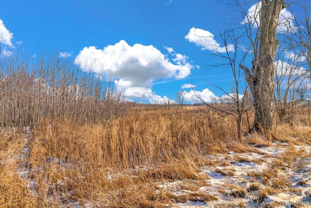 0001 Duquette Road, Peck, MI 48466 — Photo 16