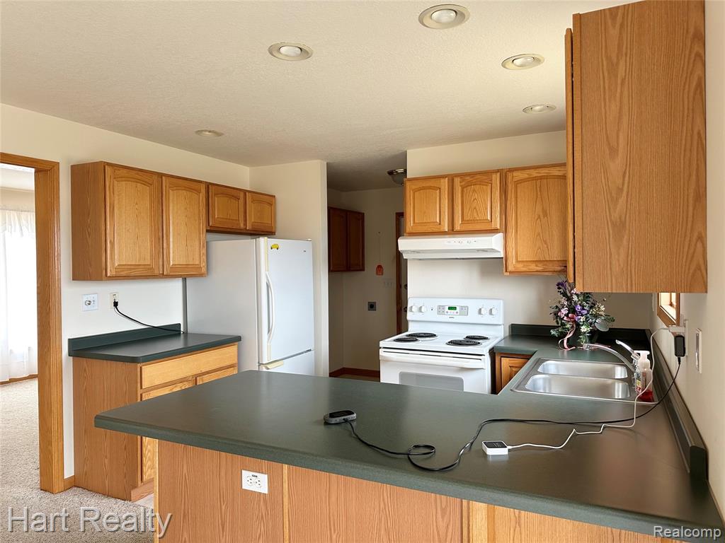 355 Juhl Road, Sandusky, MI 48471 — Photo 6