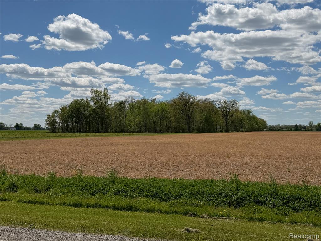 4380 N Blissfield Highway, Britton, MI 49229 — Photo 29