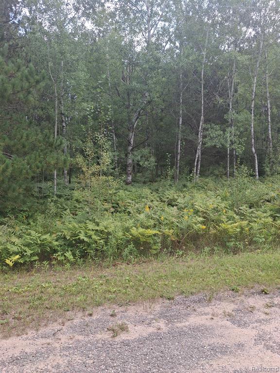 Lot 101 BREEZEWOOD Drive, Mancelona, MI 49659 — Photo 6