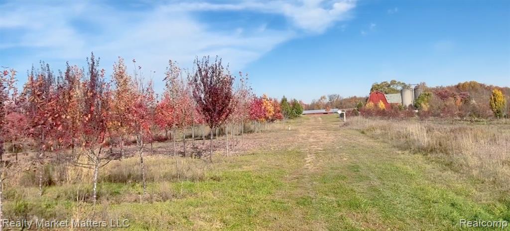 5770 Denhoff Road, Kingston, MI 48741 — Photo 6