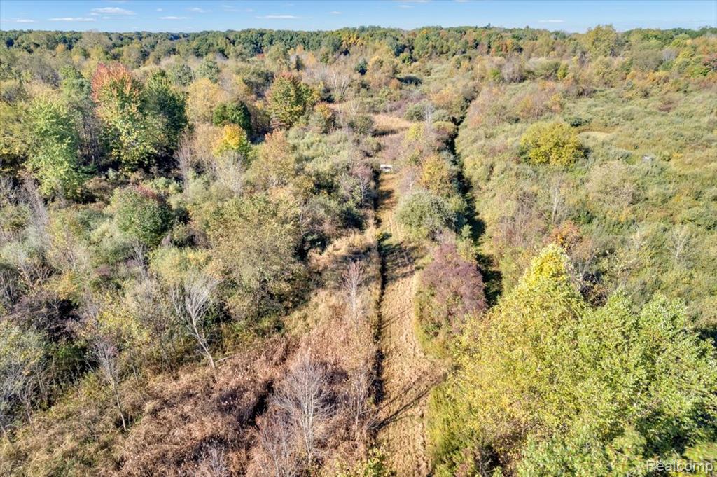 2953 N Summers Road, Imlay City, MI 48444 — Photo 7