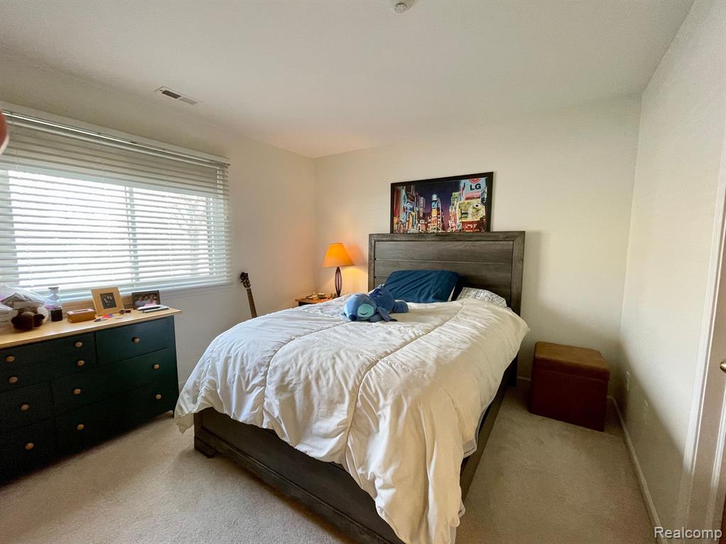 42738 LILLEY POINTE Drive, 201, Canton, MI 48187 — Photo 10