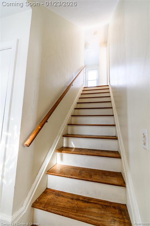 862 Moran Avenue, Lincoln Park, MI 48146 — Photo 20