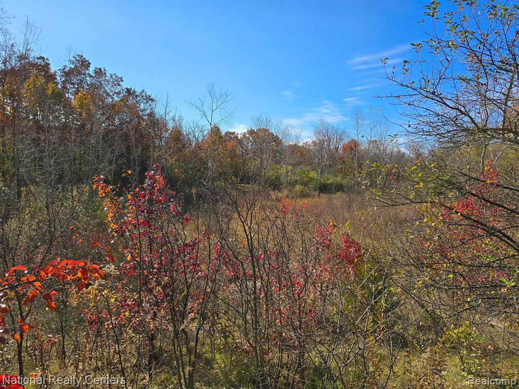 1291 WEDGEWOOD Circle, Saline, MI 48176 — Photo 32