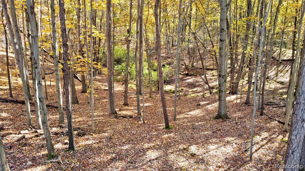 1320 Hosner Road, Oxford, MI 48370 — Photo 51