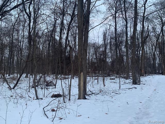 VL Lot D Trl Chevron, Highland, MI 48356 — Photo 9