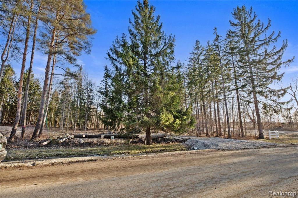 2995 Secluded Pines, Oxford, MI 48371 — Photo 13