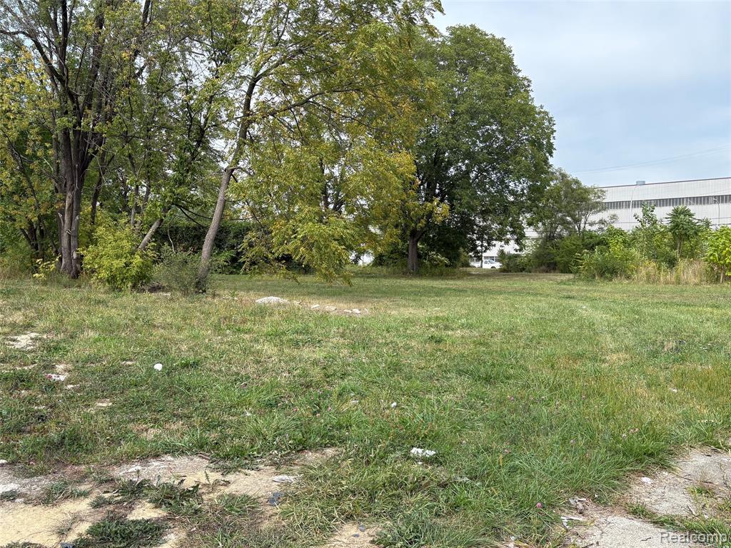 6346 Clifton Street, Detroit, MI 48210 — Photo 4