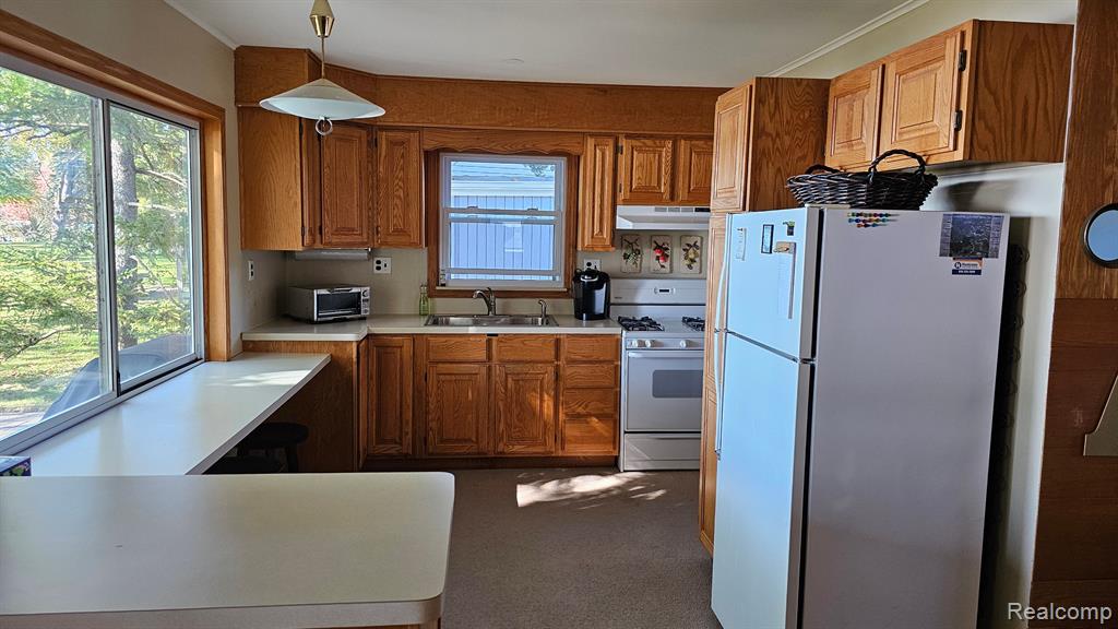 9940 BLUEWATER Drive, Pinckney, MI 48169 — Photo 3