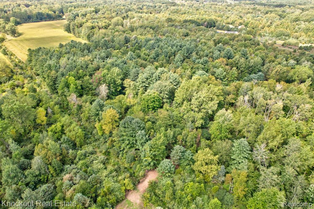 4770 Swaffer Road, Millington, MI 48746 — Photo 41