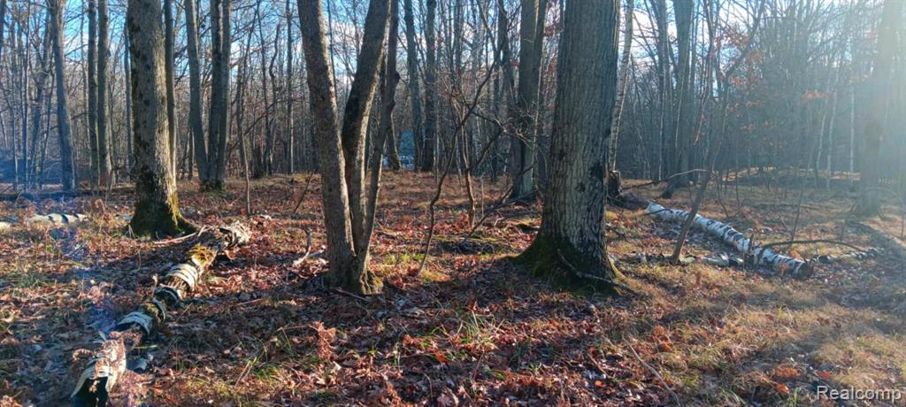 Search Homes for Sale