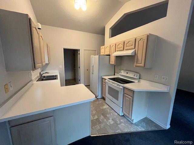 6891 Deerhurst, 96, Westland, MI — Photo 3