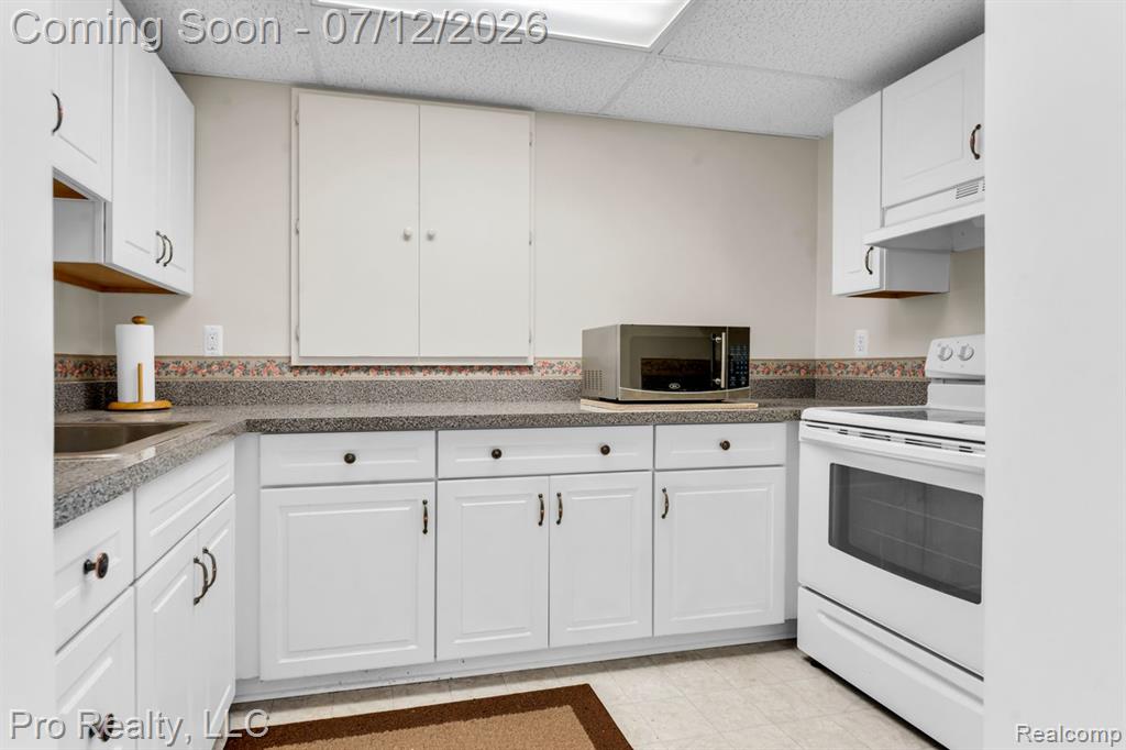 13838 Fawn Woods Court, Plymouth, MI 48170 — Photo 29