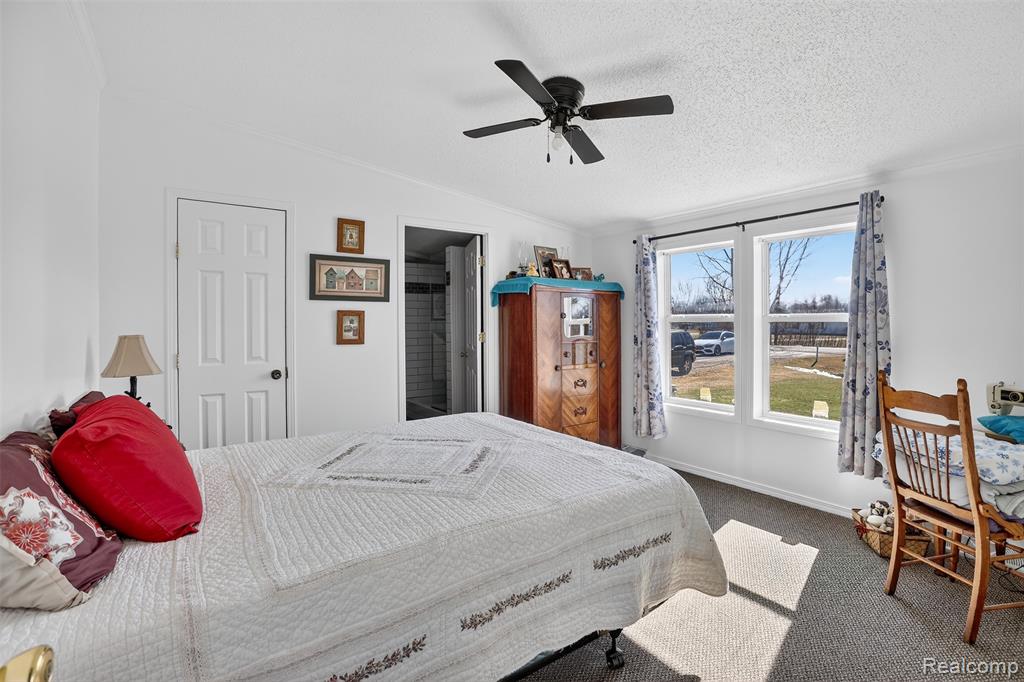 700 Obrien Road, Mayville Vlg, MI 48744 — Photo 14
