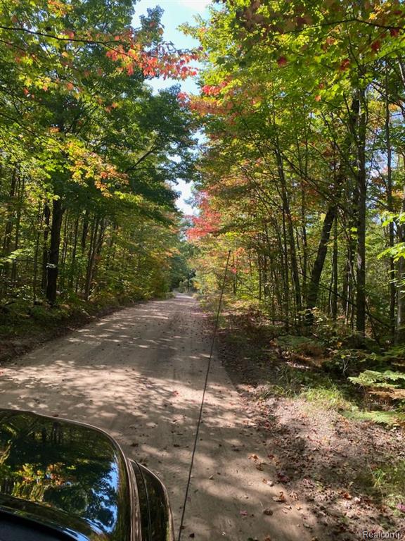 7528 OLD STUMP Road, Gaylord, MI 49735 — Photo 3