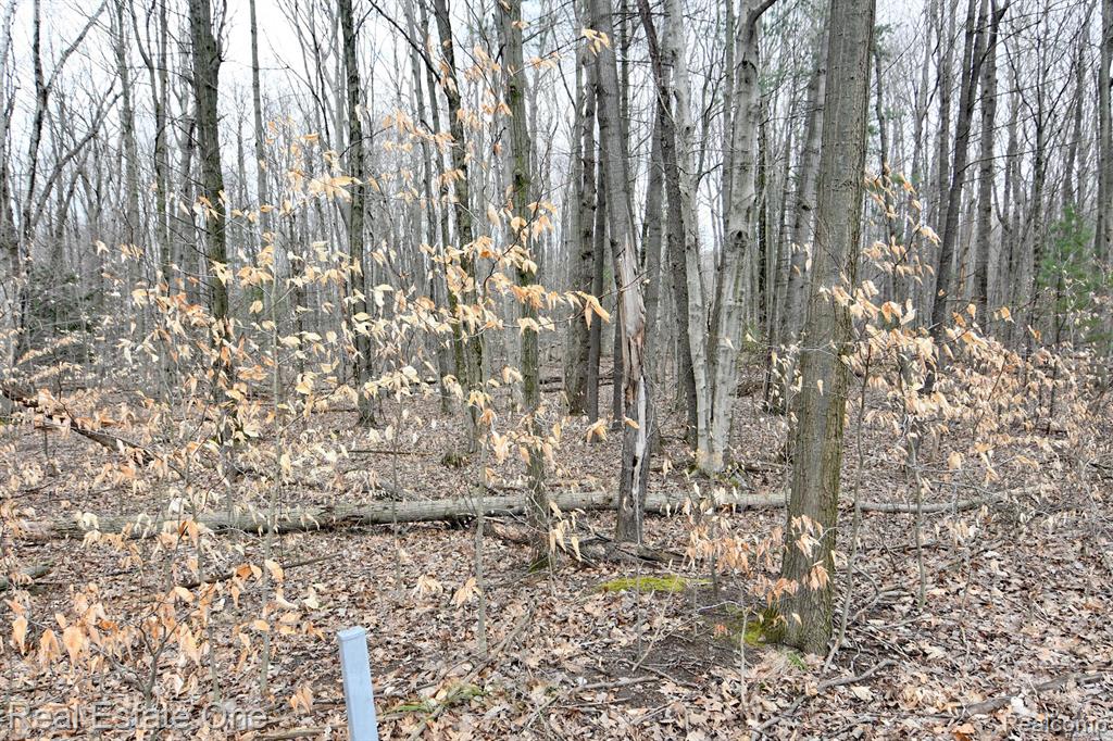 VL Hamlin Lake Estates Block 12 Lot 21-24, Ludington, MI 49431 — Photo 5