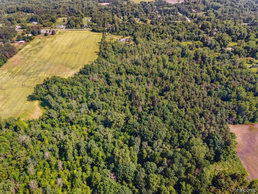 4591 Swaffer Road, Millington, MI 48746 — Photo 42