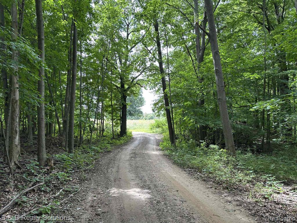 6318 Clear Lake Road, Imlay City, MI 48444 — Photo 75