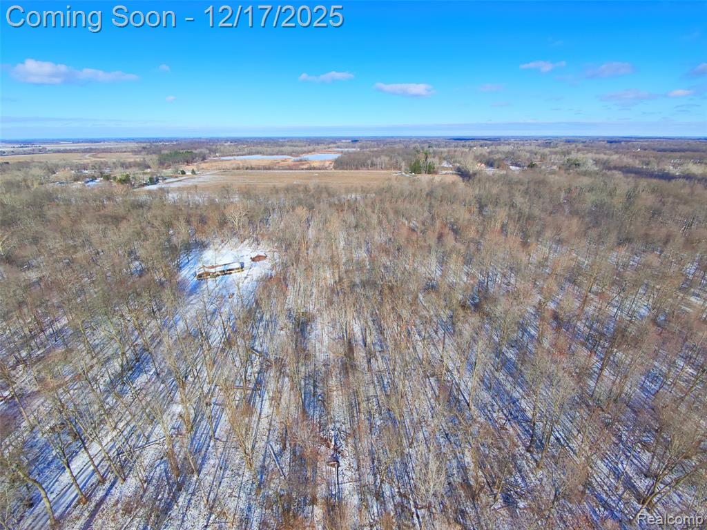 4870 W Samaria Road, Temperance, MI 48182 — Photo 26
