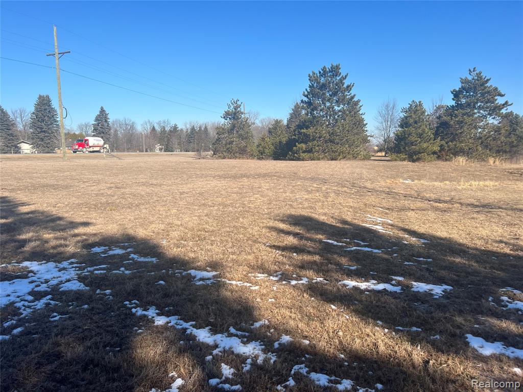 VL Mertz Rd, Mayville Vlg, MI 48744 — Photo 5