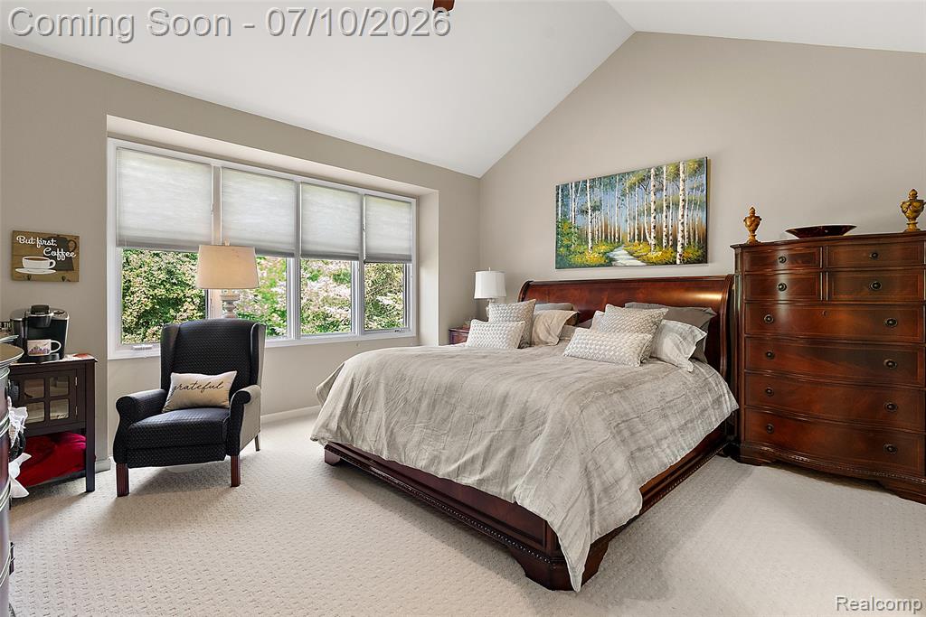 13697 Burning Tree Lane, Plymouth, MI 48170 — Photo 37