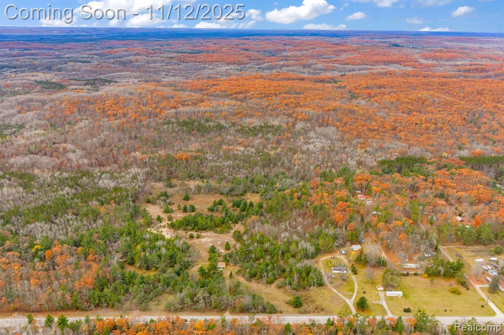 495 N M 65 Highway N, Curran, MI 48728 — Photo 4