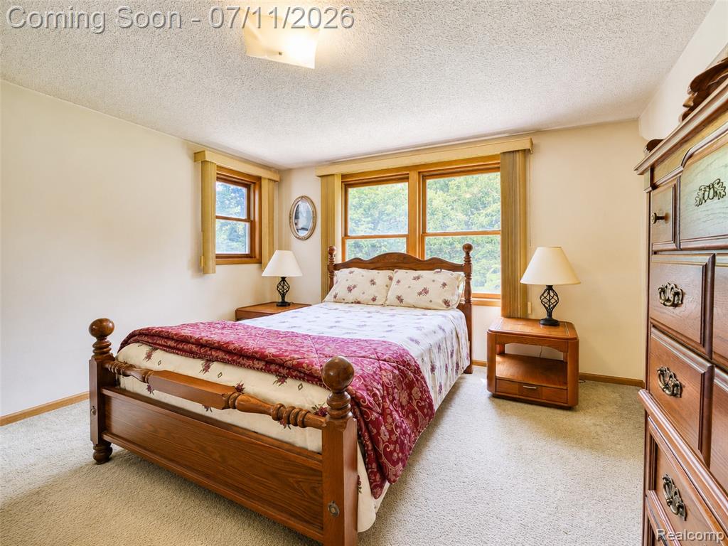 13129 Evelyn Court, Belleville, MI 48111 — Photo 17