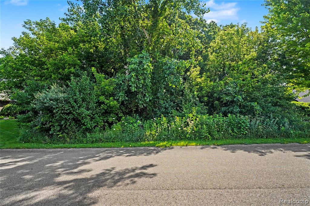 Homesite #15 Olivia Drive, Milford, MI 48381 — Photo 7