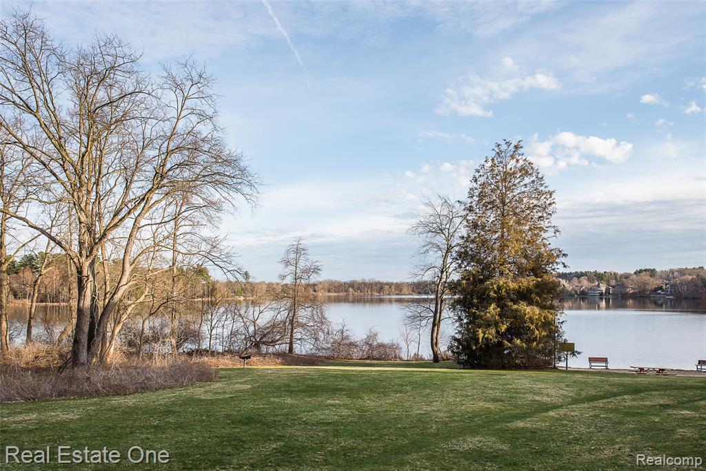 5350 Hidden Pines Drive, Brighton, MI 48116 — Photo 94
