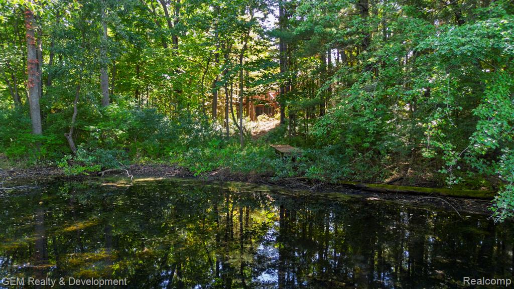 925 Sarah Road, Pinckney, MI 48169 — Photo 47