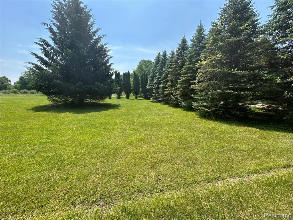 4420 Five Lakes Road, North Branch, MI 48461 — Photo 41