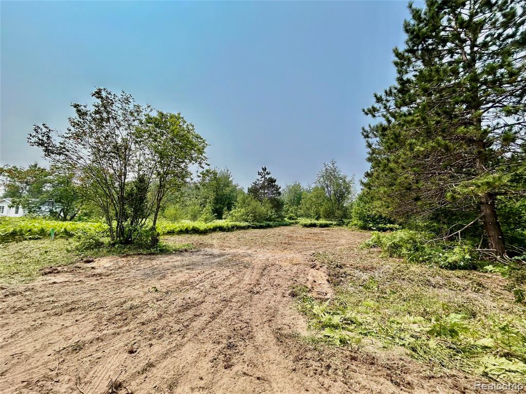 6658 Brookfield Court, Elmira, MI 49730 — front exterior