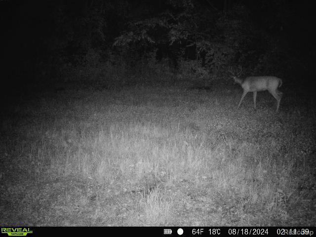 V/L BLAKE Road, Jackson, MI 49201 — Photo 81