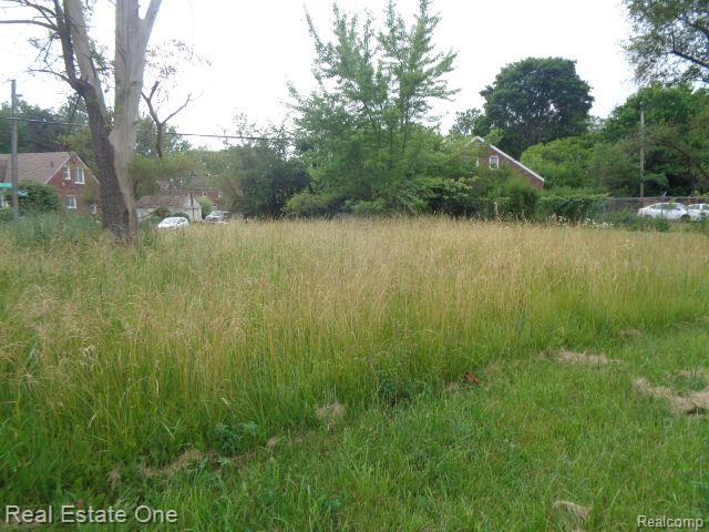 18553 JAMES COUZENS, Detroit, MI 48235 — Photo 4