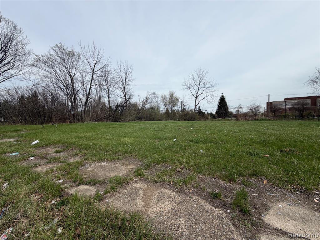 698 Field Street, Detroit, MI 48214 — Photo 3