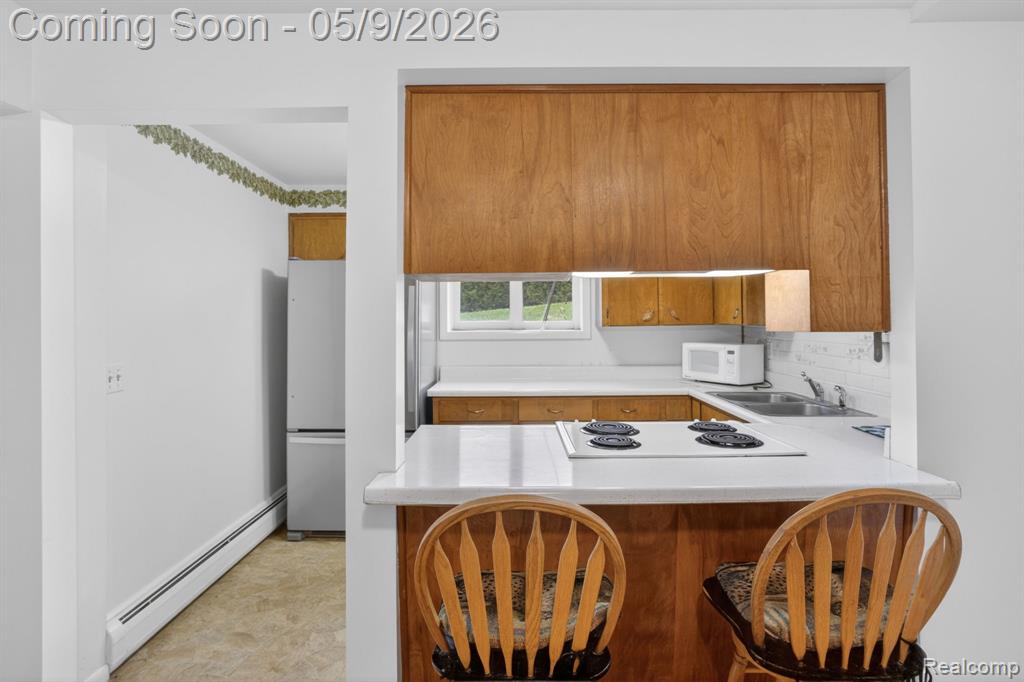 1365 Blue Water Drive, Fenton, MI 48430 — Photo 16