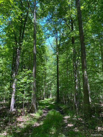 V/L UNDERWOOD Road, Caro, MI 48723 — Photo 8