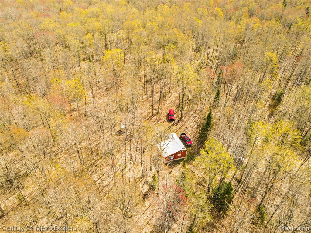 21821 Krenkel, Newberry, MI 49868 — Photo 23