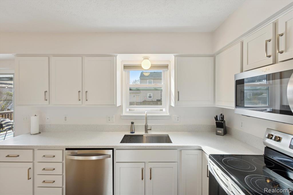 826 CRICKET Crossing, Pinckney, MI 48169 — Photo 13