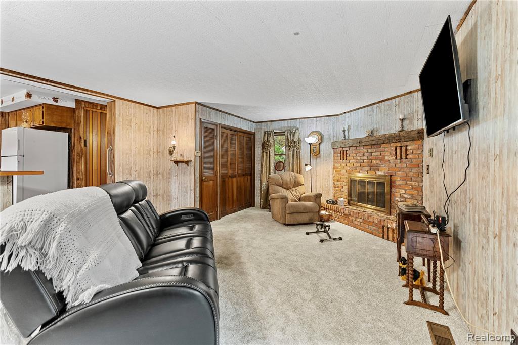 229 W Maple Street, Elsie, MI 48831 — Photo 12