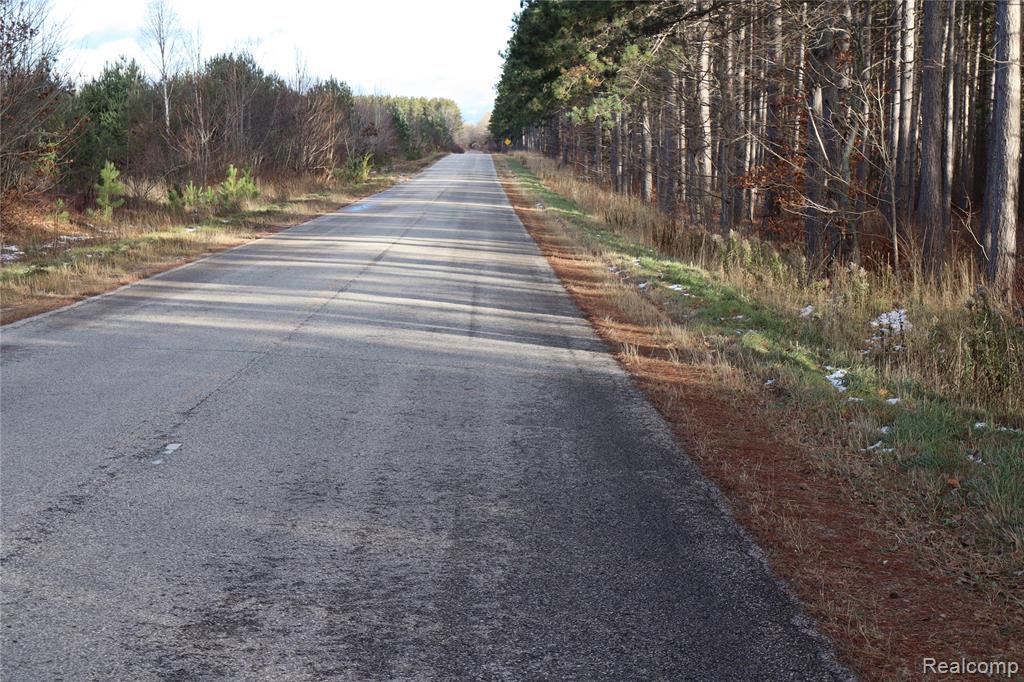 #A W Pendills Lake Road, Brimley, MI 49715 — Photo 36