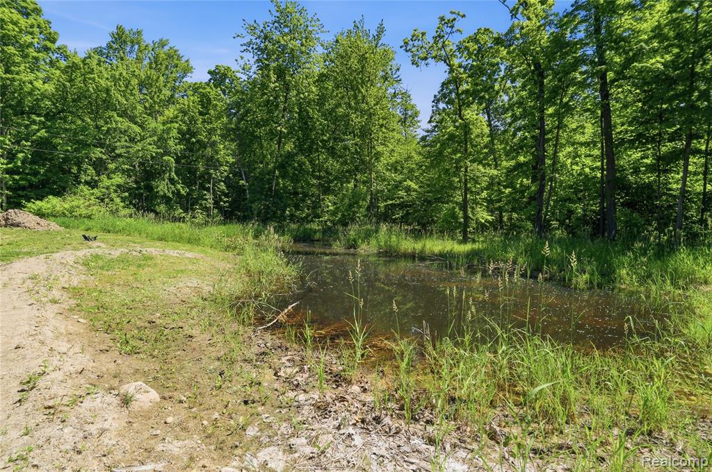 14830 County Line Road, Byron, MI 48418 — Photo 45