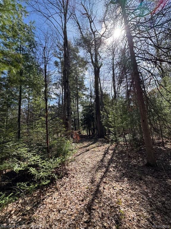 4233 Hardacre Trail, Houghton Lake, MI 48629 — Photo 25